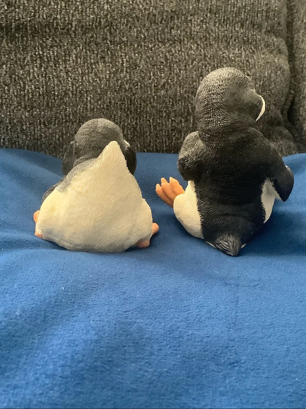 N/A charming penguin